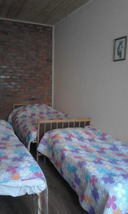 Marine'S Guest House Ananuri Ngoại thất bức ảnh