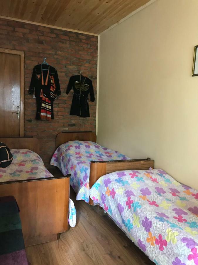 Marine'S Guest House Ananuri Ngoại thất bức ảnh
